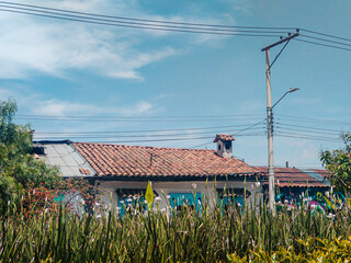 Beautiful flowers with a colonial house in the background in the main park of Bosa, in Bogotá –...