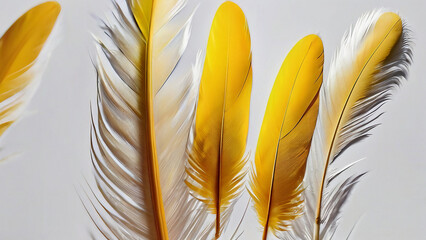 Yellow Feather