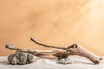 Dry branches, stone and sand. Abstract composition in warm beige tones, product presentation....