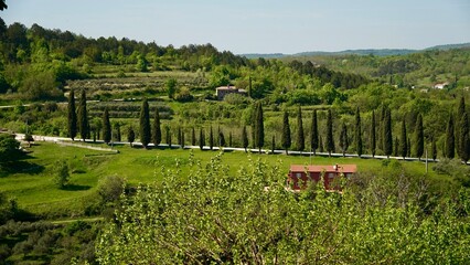 Landscape surrounding the medieval town of Oprtalj in the central northern part of Istria County,...