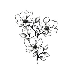 Black and white line art of three flowers with five petals each on a single stem with leaves, isolated on a white background