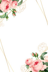 Pink cabbage rose pattern on a gold frame design element