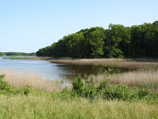 The scenic beauty of wetlands within the Bombay Hook National Wildlife Refuge, during the spring season, Kent county, Delaware.    