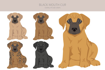 Black mouth cur puppy clipart. Different coat colors and poses set - 788567696