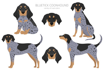 Bluetick coonhound clipart. Different coat colors and poses set - 788567822