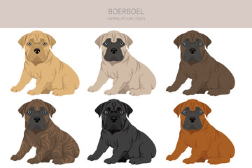 Boerboel puppy clipart. Different coat colors and poses set - 788567862