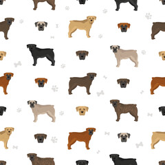 Boerboel seamless pattern. Different coat colors and poses set - 788567896