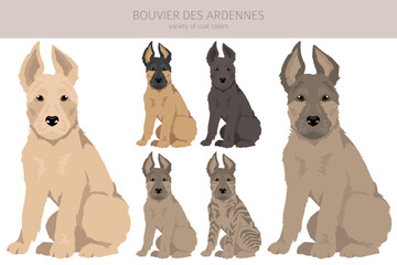 Bouvier des Ardennes puppy clipart. Different coat colors and poses set - 788568033