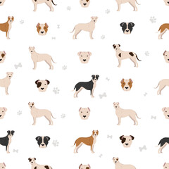 Brazilian Dogo seamless pattern. Different coat colors and poses set - 788568098