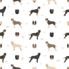 Brindisi fighting dog seamless pattern. Different coat colors and poses set. - 788568255