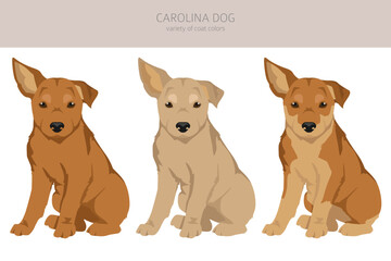 Carolina dog puppy clipart. Different poses, coat colors set