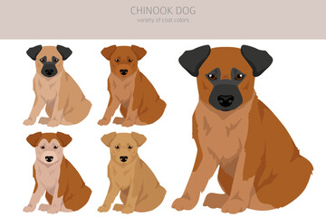 Chinook dog puppy clipart. Different poses, coat colors set - 788568615