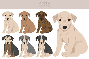Chortai puppy clipart. Different poses, coat colors set