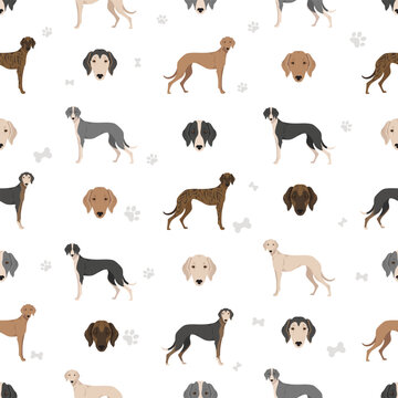 Chortai seamless pattern. Different poses, coat colors set