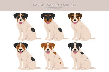 Danish swedish farmdog puppy clipart. Different poses, coat colors set - 788568879