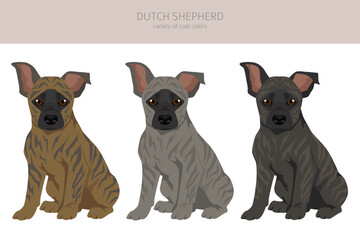 Dutch shepherd puppy clipart. Different poses, coat colors set - 788569017