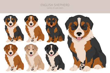 English shepherd puppy clipart. Different poses, coat colors set - 788569215