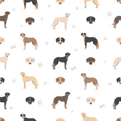 Eurohound seamless pattern. Different coat colors set