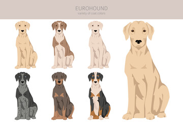Eurohound_2 - 788569409