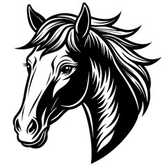 horse head silhouette vector illustration 