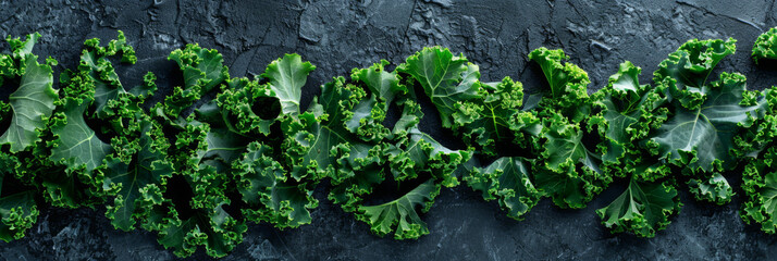 Fresh Curly Kale Leaves on Dark Slate Background for Healthy Nutrition Concept