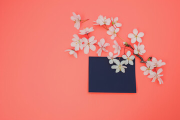 Vibrant Coral Background with Cherry Blossoms and Blue Card