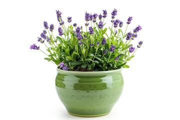 A green vase filled with purple flowers. Suitable for home decor - obrazy, fototapety, plakaty