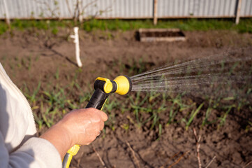 Watering the garden with a hose.