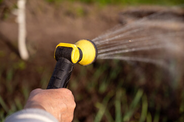 Spring watering of vegetable garden from a sprinkler, close-up, selective focus