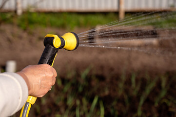 Spring watering of vegetable garden from a sprinkler, close-up, selective focus