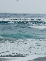 Sea wave surf with white foam. Seascape. Vertical