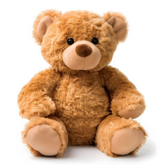 Plush Teddy Bear on White Background