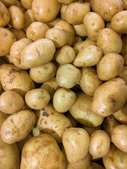 Potato washed ready for sale