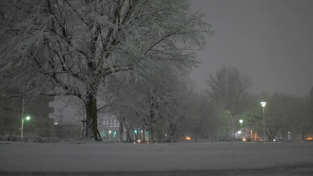 雪の降る駐車場。FHD,H.264,8bit	