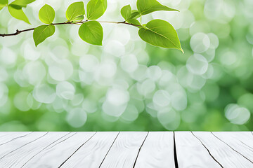 white wooden plank with delicate green leave branch. Bokeh blur soft minimal background