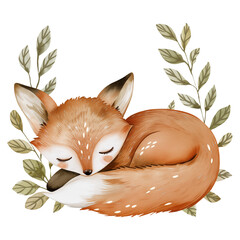 Woodland sleeping fox with leaves, Watercolor forest animal illustration - 788631828