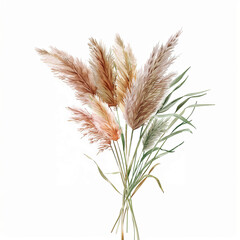 Charming illustration of Pampas Grass in vintage watercolor style, perfect for creating romantic invitations, stationery, and rustic-themed decor.
