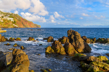 The rocky coastline along the Zona Velha old town district of Funchal Portugal at sunset on the...