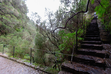 Enchanting Landscapes of Madeira: A Visual Journey