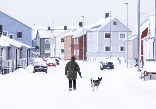 Vardo, Norway: walking the dog on snow covered street with colorful houses