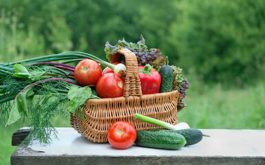 wicker basket with organic fresh different vegetables on wooden table in garden, natural...
