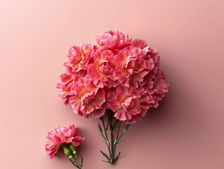 Greeting cards, Carnation bouquet gradient background