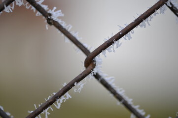 Eis am Zaun