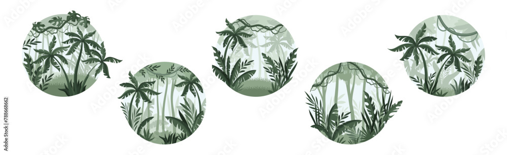 Poster jungle landscape with palm trees in mist in round shape vector set
