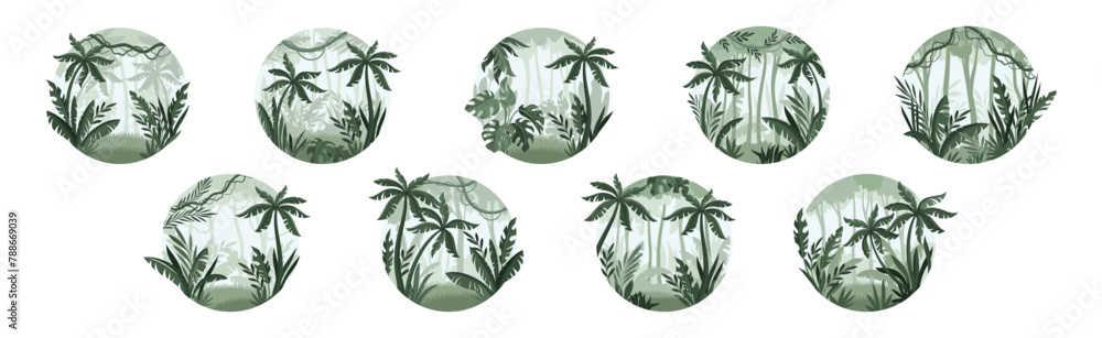 Poster jungle landscape with palm trees in mist in round shape vector set