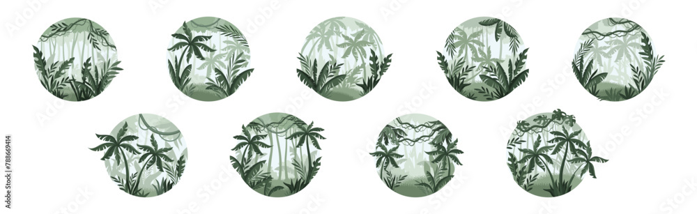 Poster jungle landscape with palm trees in mist in round shape vector set