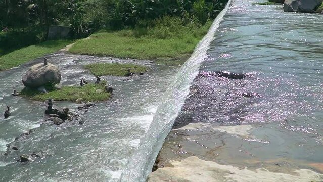 Large sabo dam with a six-level dam and is now fed by clear river water from the foot of the mountain. Sabo Dam functions to stem the flow of cold lava when the volcano erupts
