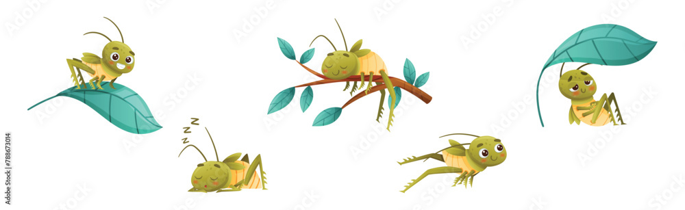 Poster cute little grasshopper engaged in various activity vector set