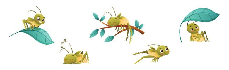 Cute Little Grasshopper Engaged in Various Activity Vector Set