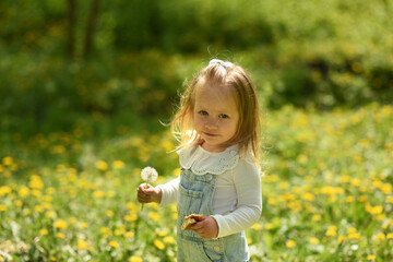 A beautiful little girl walks in a field of dandelions. Dandelion in the hands of a small child. A blonde girl with blue eyes, two years old.